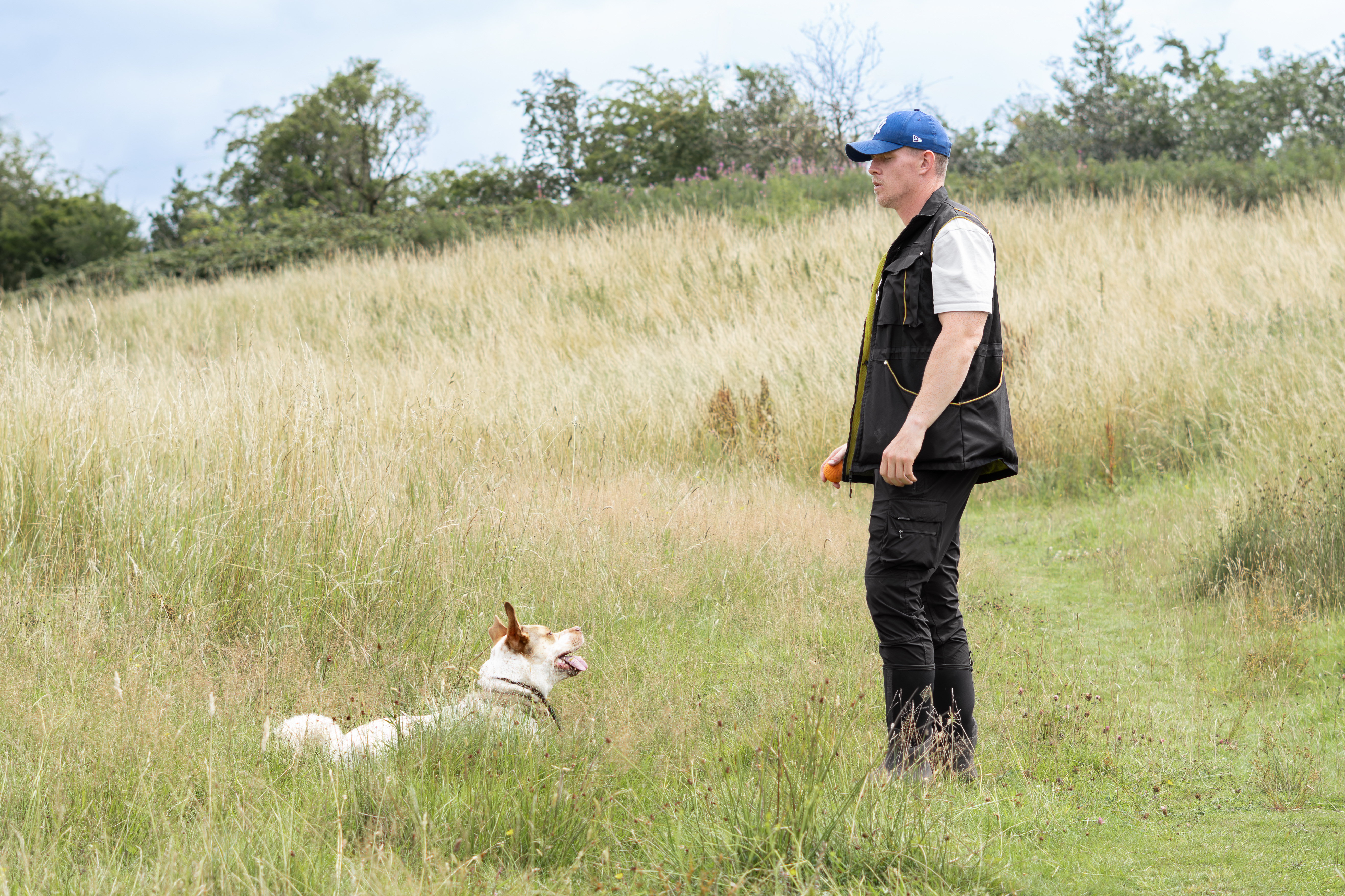 Dog training in action